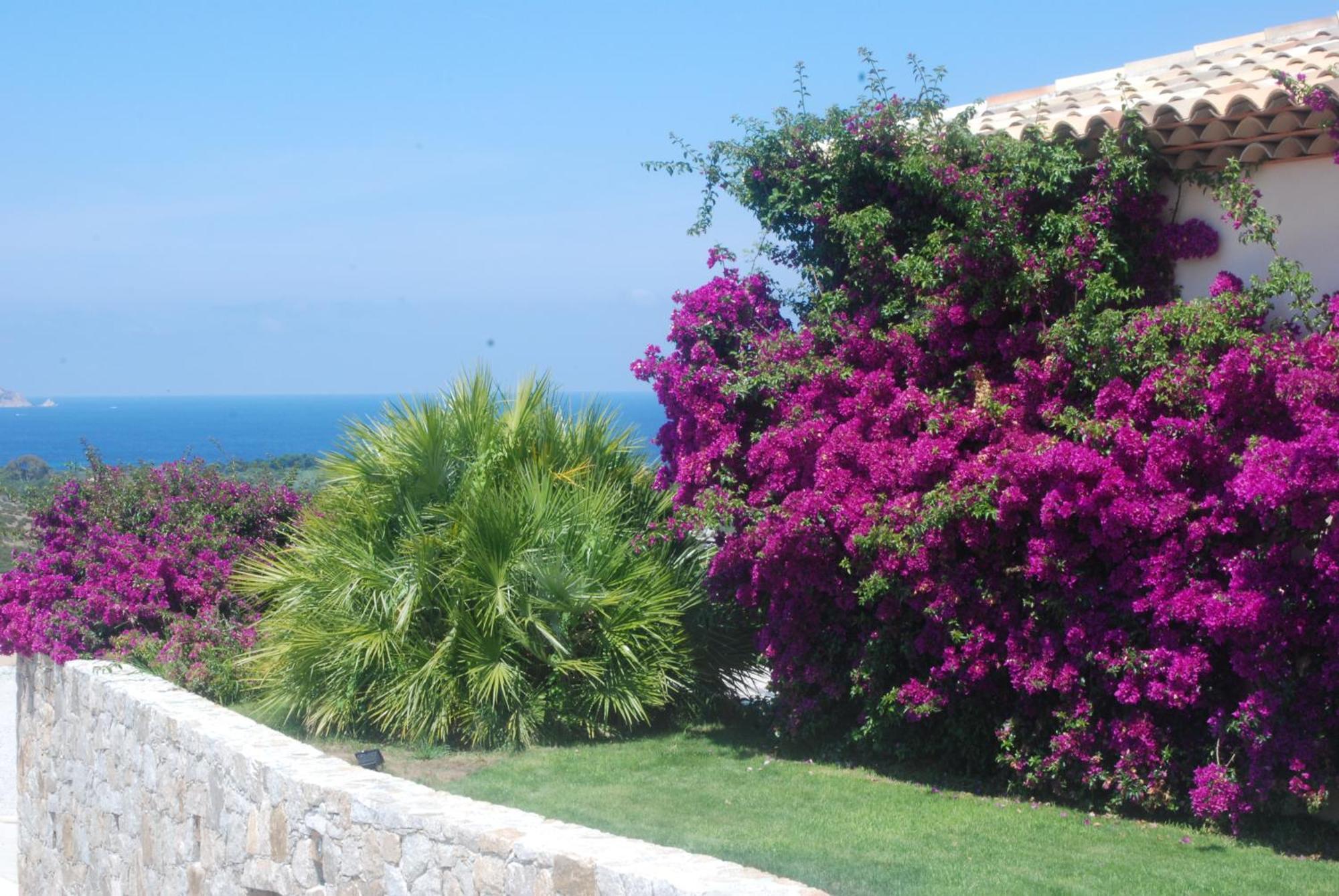 لوميو Villa La Vista المظهر الخارجي الصورة
